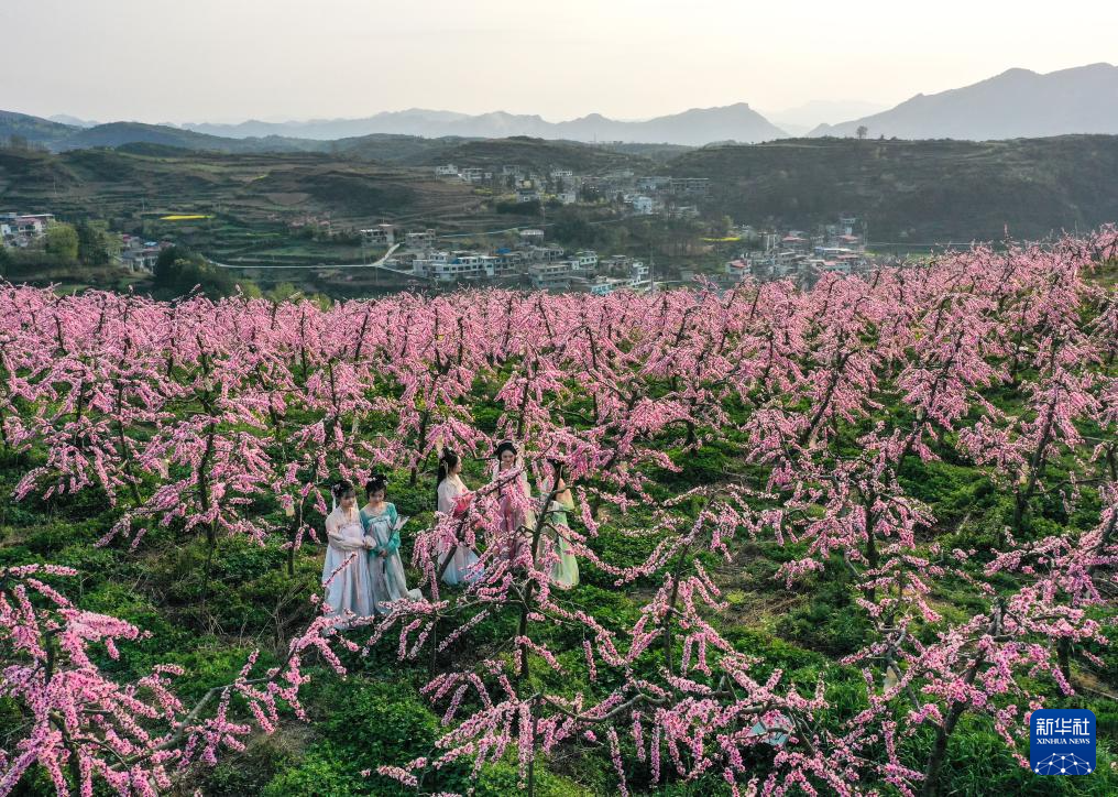 貴州貴定：“花樣”翻新撬動(dòng)“春日經(jīng)濟(jì)”