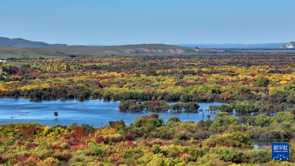 額爾古納濕地秋日即景
