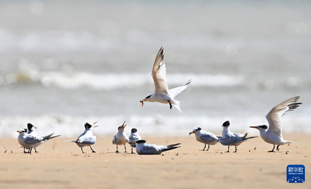 “神話之鳥”來(lái)?xiàng)? /><span>“神話之鳥”來(lái)?xiàng)?/span></a></li>
				<li><a href=