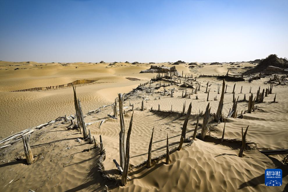 探訪(fǎng)尼雅遺址